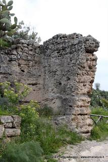 stellaccio02-07-2015 19-13-23